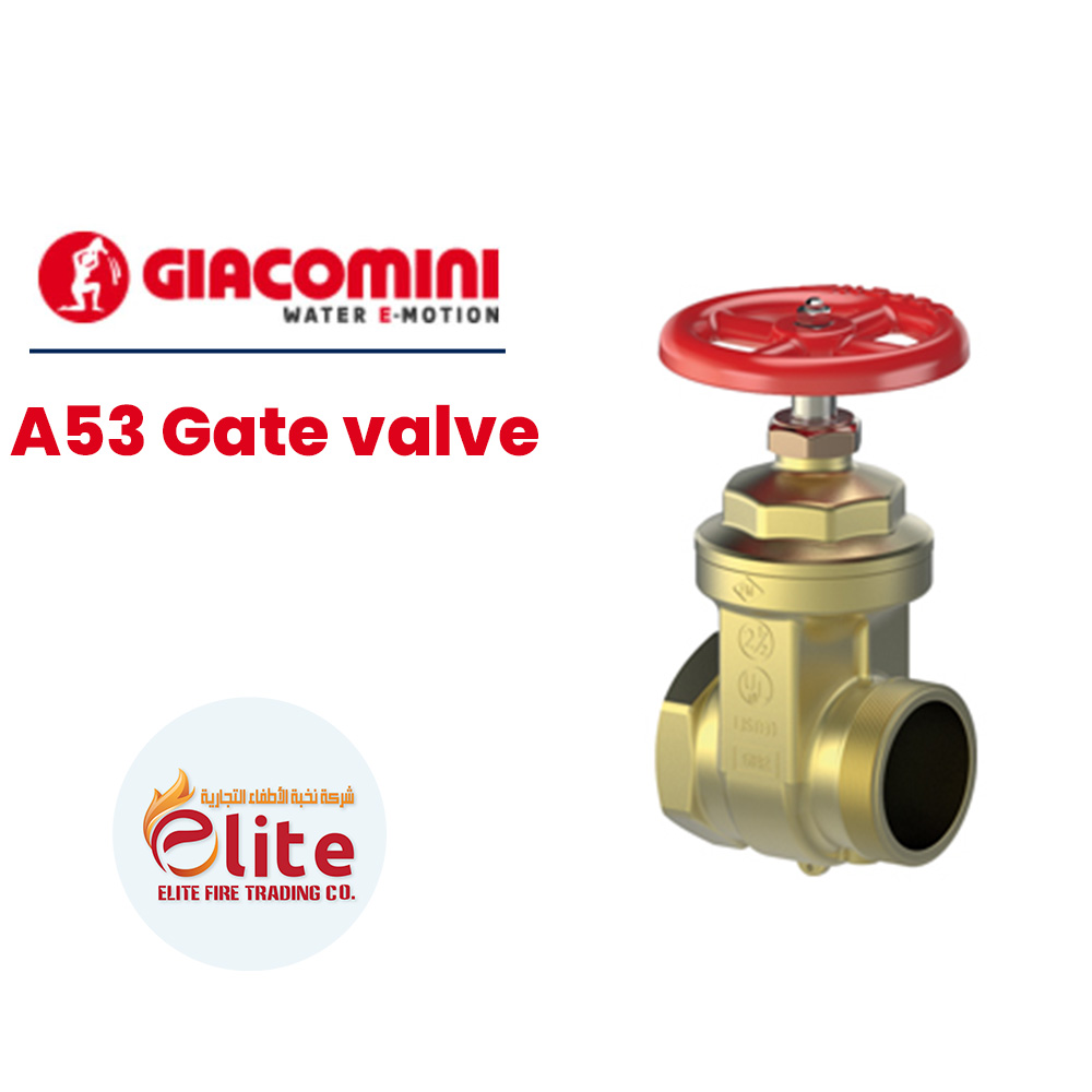 Giacomini Giacomini A53 Gate valve in Saudi Arabia