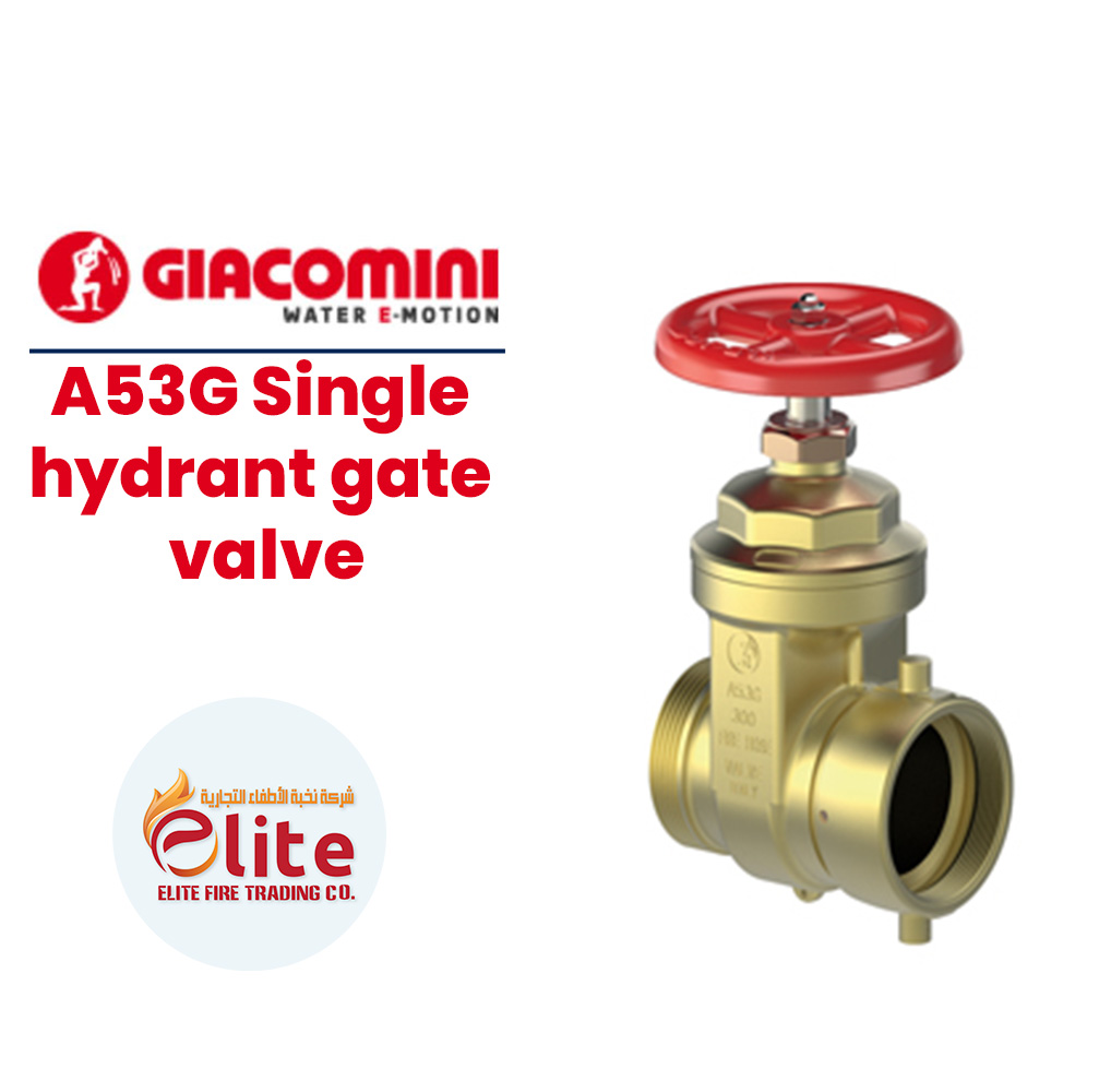 Giacomini Giacomini A53G Single hydrant gate valve in Saudi Arabia